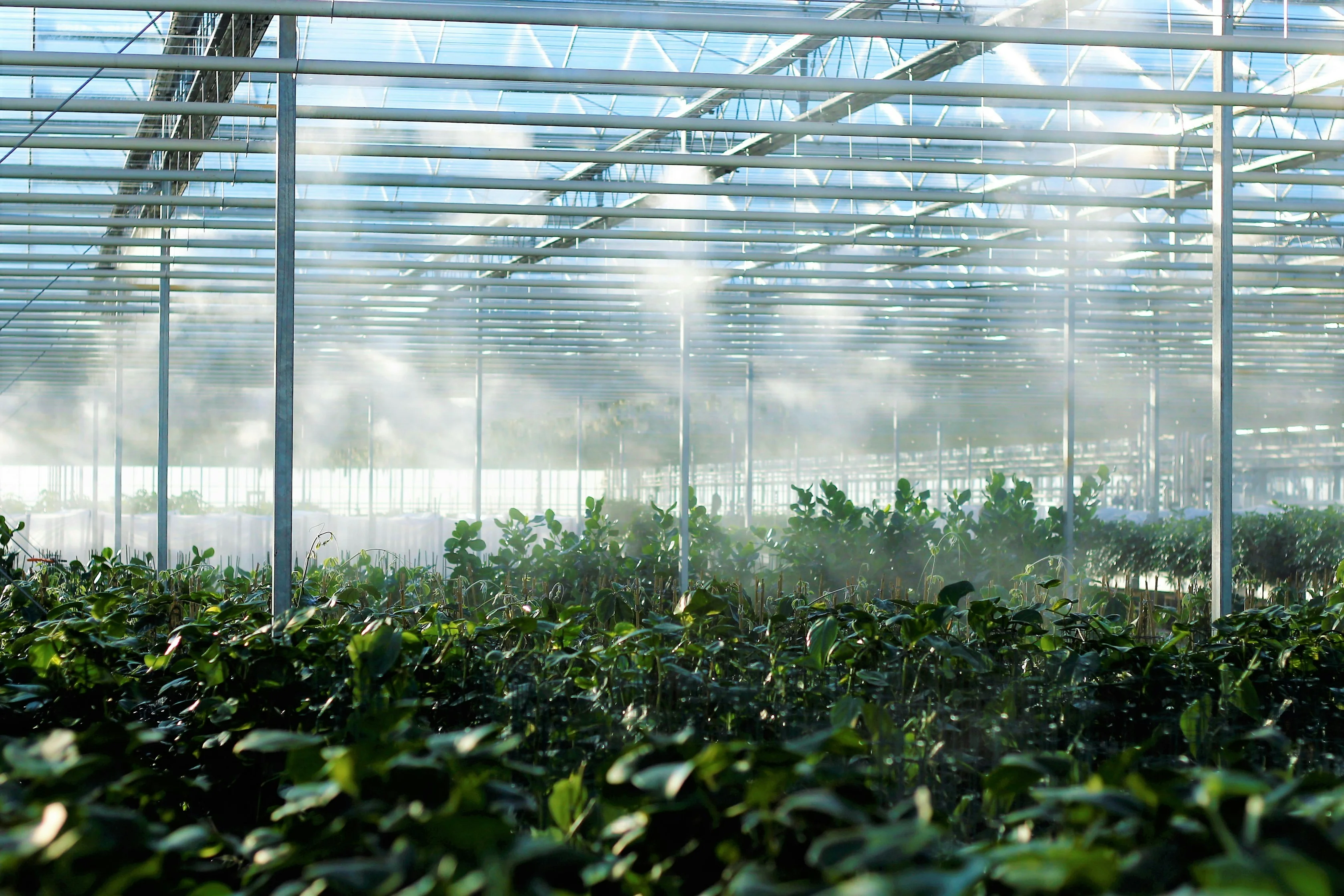 Agroindustria - soluciones de CG Ingeniería